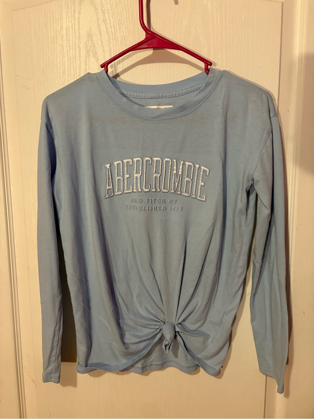 abercrombie kids Sky Blue Embroidered Logo Tee